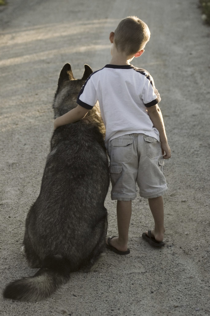 Dictatuur Zuiver De controle krijgen Een veilige omgang tussen hond en kind | Sophia-Vereeniging